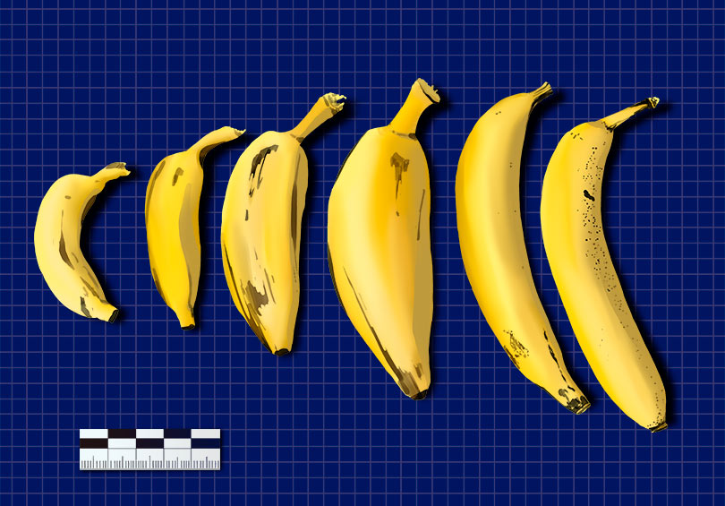 Banana collection