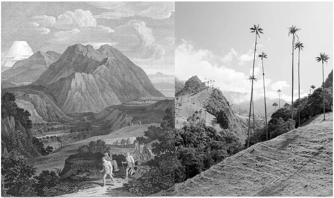 Passage of Quindio in Colombia by Alexander Glandien